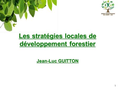 Les stratégies locales de développement forestier