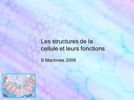 Les structures de la cellule et leurs fonctions