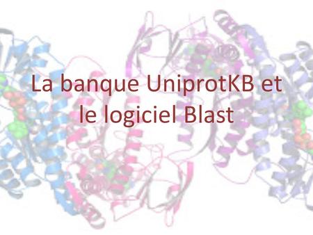 La banque UniprotKB et le logiciel Blast
