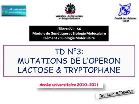 TD N°3: MUTATIONS DE L’OPERON LACTOSE & TRYPTOPHANE