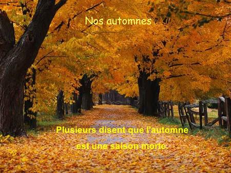 Nos automnes Plusieurs disent que l'automne est une saison morte.