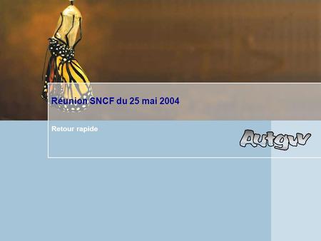 Réunion SNCF du 25 mai 2004 Retour rapide. Modalités de l’enquête SNCF et Panel des interviewés  La SNCF a réalisé en début d’année une enquête visant.