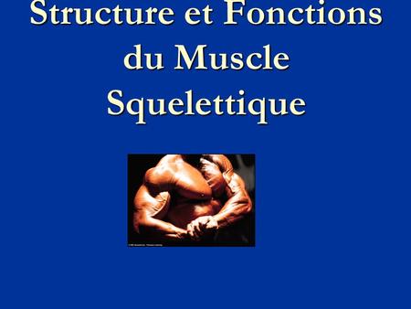 Structure et Fonctions du Muscle Squelettique