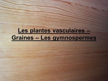 Les plantes vasculaires – Graines – Les gymnospermes