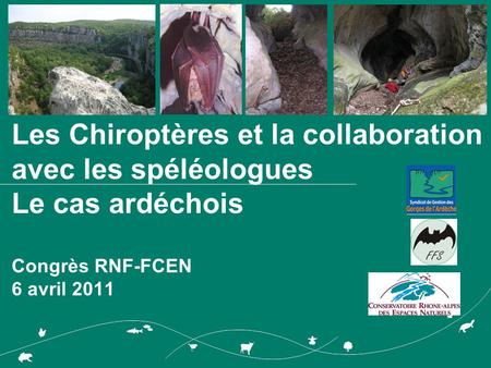 Les Chiroptères et la collaboration avec les spéléologues Le cas ardéchois Congrès RNF-FCEN 6 avril 2011.