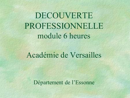 DECOUVERTE PROFESSIONNELLE module 6 heures Académie de Versailles Département de l’Essonne.