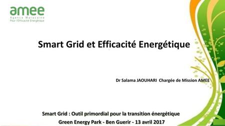 Smart Grid et Efficacité Energétique
