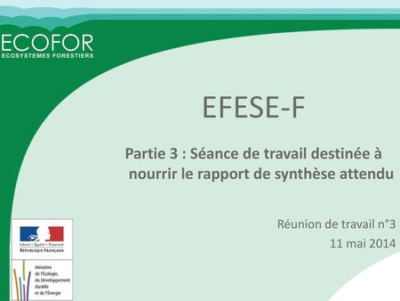 EFESE-F Partie 3 : Séance de travail destinée à nourrir le rapport de synthèse attendu Réunion de travail n°3 11 mai 2014.