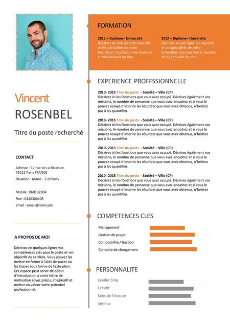 Vincent ROSENBEL FORMATION EXPERIENCE PROFFSSIONNELLE