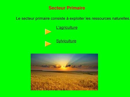 Secteur Primaire  Le secteur primaire consiste à exploiter les ressources naturelles. L'agriculture Sylviculture 