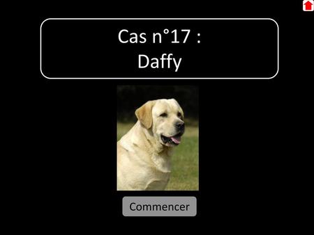 Cas n°17 : Daffy Commencer.