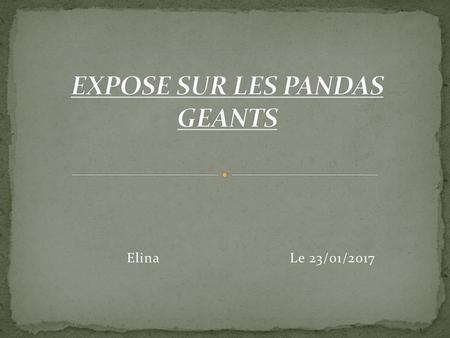 EXPOSE SUR LES PANDAS GEANTS