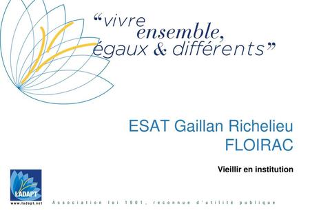 ESAT Gaillan Richelieu FLOIRAC