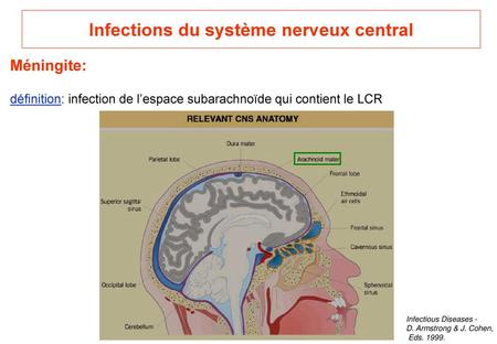 Infections du système nerveux central