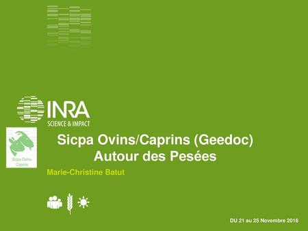 Sicpa Ovins/Caprins (Geedoc)