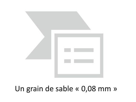 Un grain de sable « 0,08 mm ».