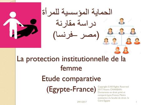 الحماية المؤسسية للمرأة دراسة مقارنة (مصر –فرنسا)