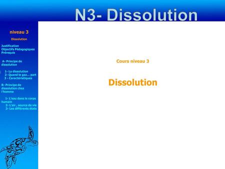 N3- Dissolution Dissolution niveau 3 Cours niveau 3 Dissolution