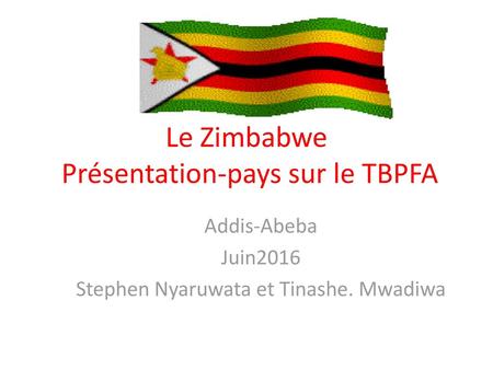 Le Zimbabwe Présentation-pays sur le TBPFA