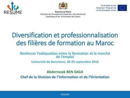 Royaume du Maroc Ministère de l’Enseignement Supérieur, de la Recherche Scientifique et de la Formation des Cadres Diversification et professionnalisation.