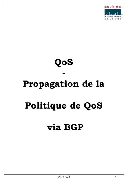 QoS - Propagation de la Politique de QoS via BGP