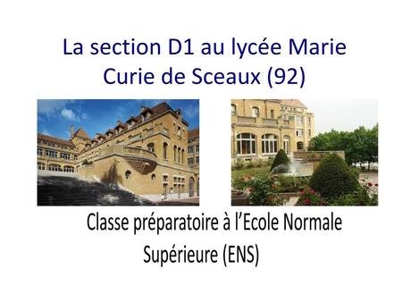 La section D1 au lycée Marie Curie de Sceaux (92)