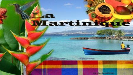 La Martinique est une île des Antilles surnommée l’île aux fleurs