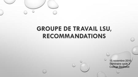GROUPE DE TRAVAIL LSU, RECOMMANDATIONS