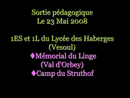 Sortie pédagogique Le 23 Mai 2008 1ES et 1L du Lycée des Haberges (Vesoul) Mémorial du Linge (Val d’Orbey) Camp du Struthof.