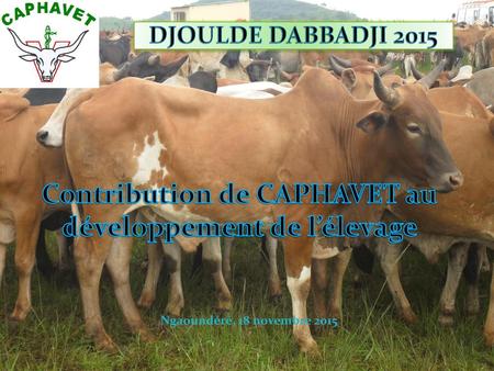 Contribution de CAPHAVET au développement de l’élevage