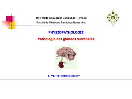 PHYSIOPATHOLOGIE Pathologie des glandes surrénales