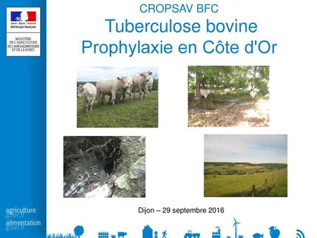CROPSAV BFC Tuberculose bovine Prophylaxie en Côte d'Or