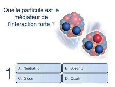 Quelle particule est le médiateur de l‘interaction forte ?