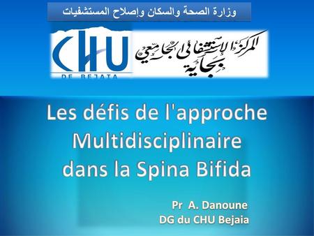 Les défis de l'approche Multidisciplinaire dans la Spina Bifida