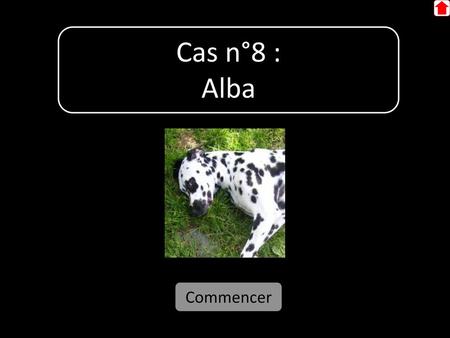 Cas n°8 : Alba Commencer.