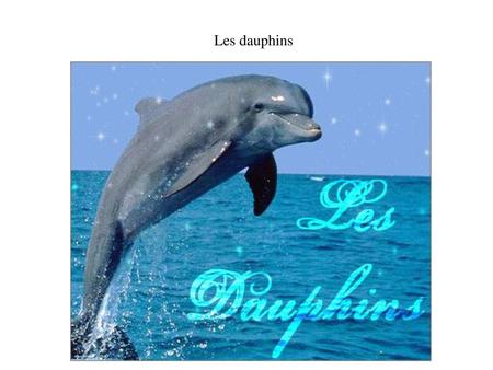 Les dauphins.