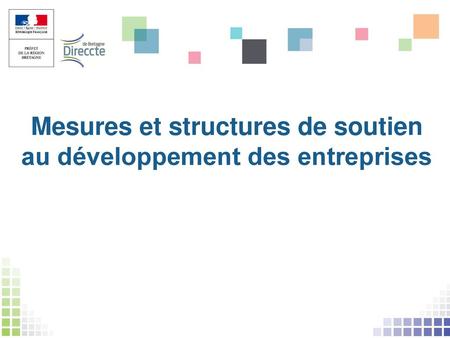 Mesures et structures de soutien au développement des entreprises