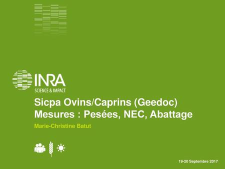 Sicpa Ovins/Caprins (Geedoc) Mesures : Pesées, NEC, Abattage