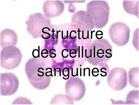Structure des cellules sanguines