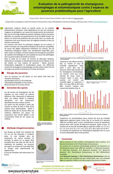 Evaluation de la pathogénicité de champignons entomophages et entomotoxiques contre 3 espèces de pucerons problématiques pour l’agriculture François Eckert,