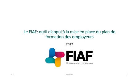 Le FIAF: outil d’appui à la mise en place du plan de formation des employeurs 2017 2017 MEDEF NC.