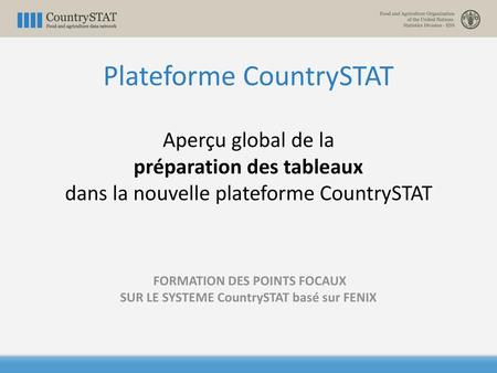 Plateforme CountrySTAT Aperçu global de la préparation des tableaux dans la nouvelle plateforme CountrySTAT FORMATION DES POINTS FOCAUX SUR LE SYSTEME.