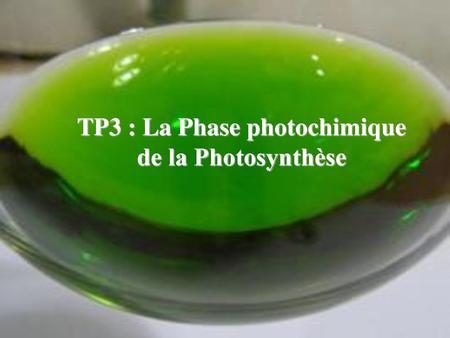 TP3 : La Phase photochimique de la Photosynthèse