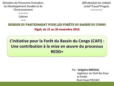 Session du Partenariat pour les Forêts du Bassin du Congo