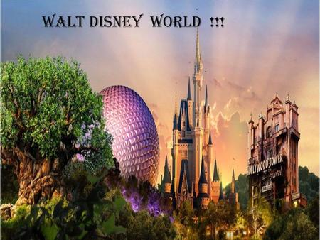 Walt disney world !!!.