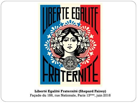 Liberté Egalité Fraternité (Shepard Fairey)
