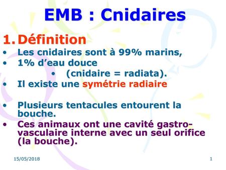 EMB : Cnidaires Définition Les cnidaires sont à 99% marins,