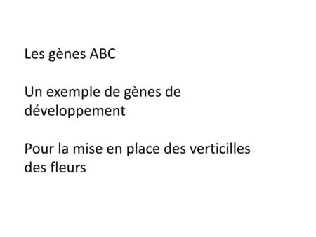 Les gènes ABC Un exemple de gènes de développement