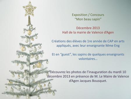 Exposition / Concours “Mon beau sapin” Décembre 2013 Hall de la mairie de Valence d’Agen Créations des élèves de 1re année de CAP en arts appliqués,
