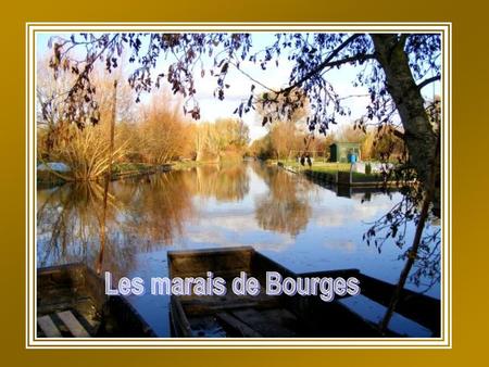 Les marais de Bourges.